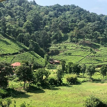 Janiro Tea Trees Villas Vythiri Exterior foto