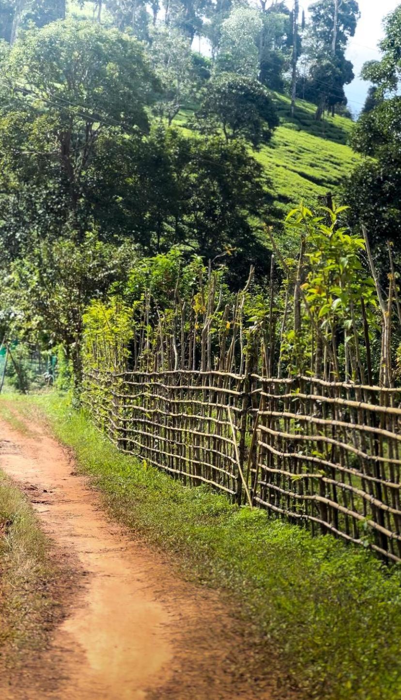Janiro Tea Trees Villas Vythiri Exterior foto